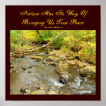 Nature Has Its Way Of Bringing Us...Poster