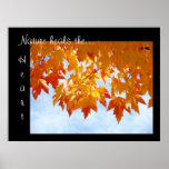 Nature Heal the Heart art prints Autumn Leaves Sky
