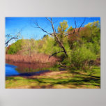 Nature Lover's Poster posters