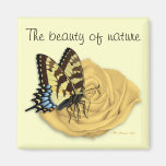 Nature Magnets
