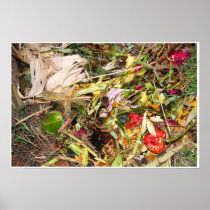 Nature Morte 13 Poster