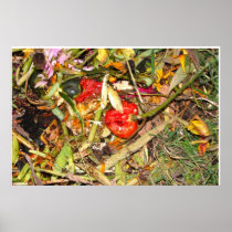 Nature Morte 14 Poster