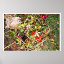 Nature Morte 15 Poster