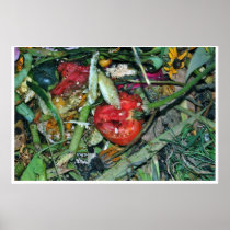 Nature Morte 16 Poster