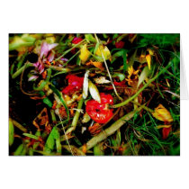 Nature Morte 18