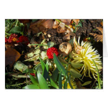 Nature Morte 21 Greeting Cards