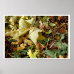 Nature Morte 22 posters