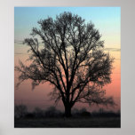 Nature or Nurture? posters