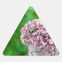 Nature photo bee on pink flower stickers