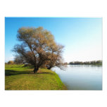 nature photography