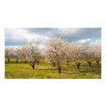 nature photography
