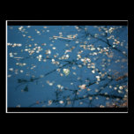 Nature postcards