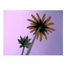Nature postcard