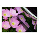 Nature Reflected in Chrome cards