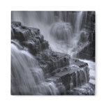 nature steps magnets