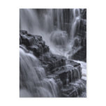nature steps postcards