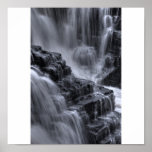 nature steps posters
