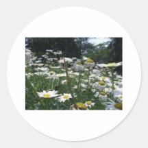 NATURE STICKERS