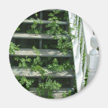 Nature strikes back magnet