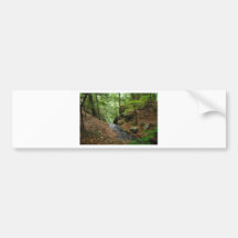 Nature Trail Bumper Sticker