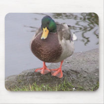 Nature View Ottawa - Mousepad