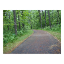 Nature Woods Forest Photography Postcard Minnesota