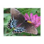 Natures Angels the Butterfly Postcard