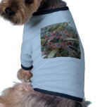 Natures Beauty2 pet clothing