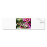 Natures Beauty bumper stickers