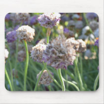 Nature's Beauty II
