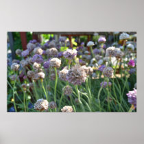 Nature's Beauty II Posters