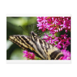 Natures Beauty postcards