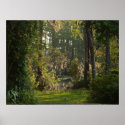 Natures Beauty posters