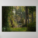 Natures Beauty posters