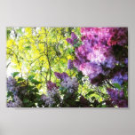 Natures Beauty Print