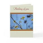 Natures Beauty Tree Blossom Thinking of you