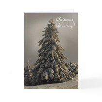 Nature's Christmas Tree - Greeting Card