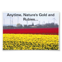 NAture's Gold n Rubies.jpg, Anytime, Nature's G... Photo Art