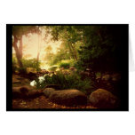 Natures Hideaway cards