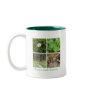 Nature's Little Treasures Mugs