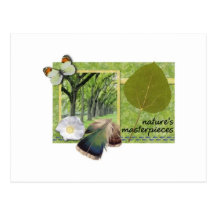 Natures masterpieces postcard