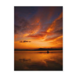 Natures Palette Postcard