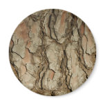 Natures Patterns magnets