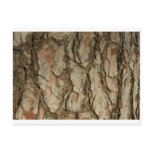 Natures Patterns postcards