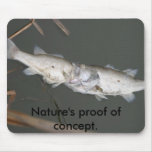 Nature's proof of concept. mousepads