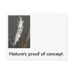 Nature's proof of concept. postcards
