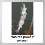 Nature's proof of concept. posters