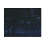 Nature's Secret Postcards