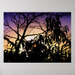 Nature's silhouette Poster posters