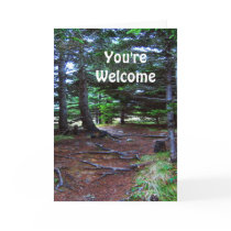 Nature's Stairway Greeting Card